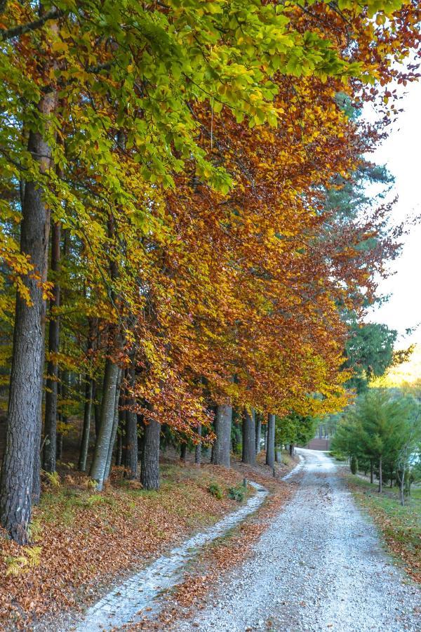 Boticas Parque Natur Houses Dış mekan fotoğraf
