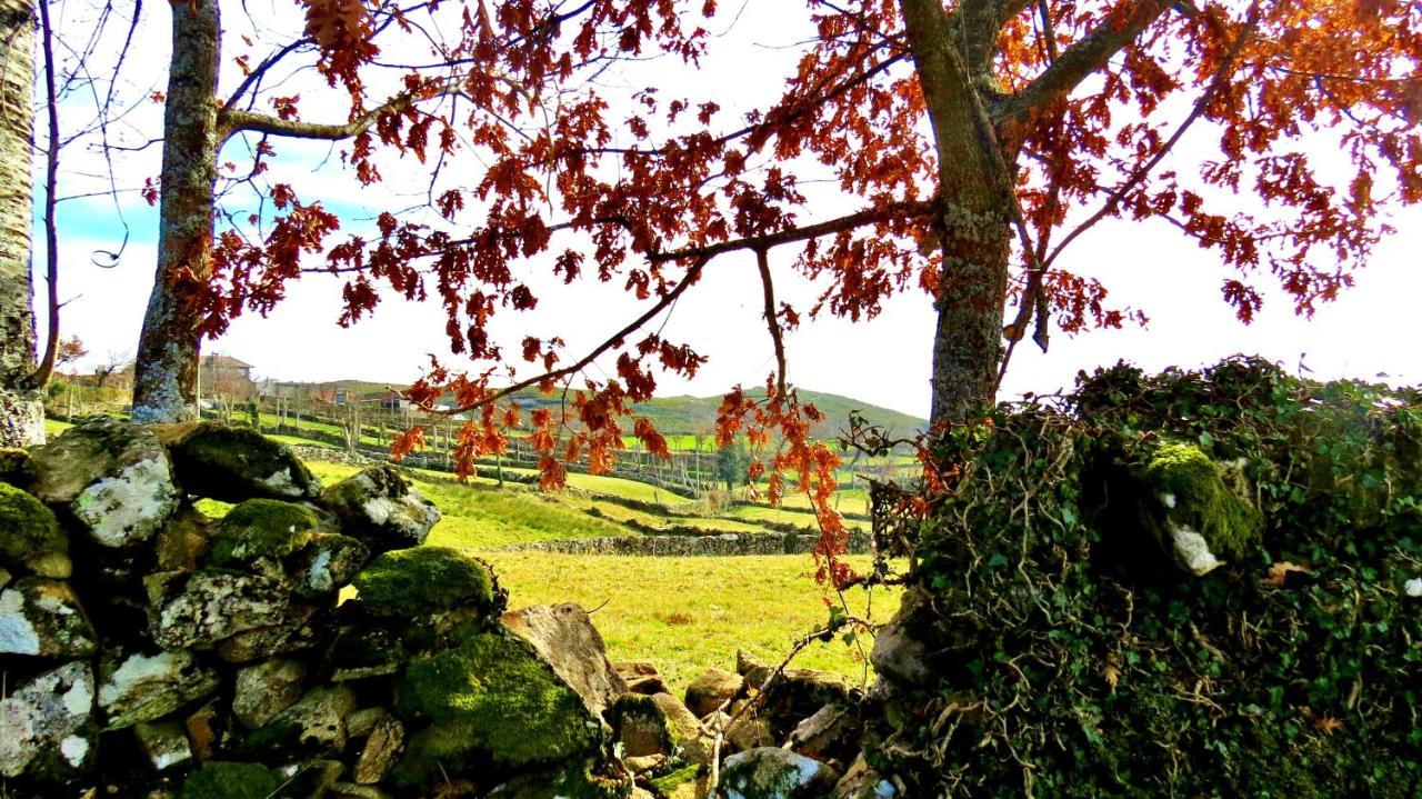 Boticas Parque Natur Houses Dış mekan fotoğraf